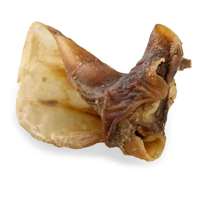Rinderohren mit Muschel