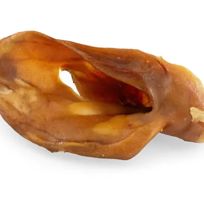 Schweineohren mit Muschel