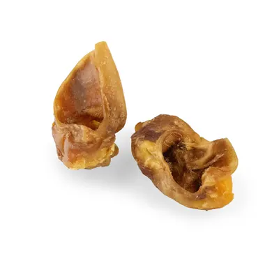 Schweineohrenmuscheln